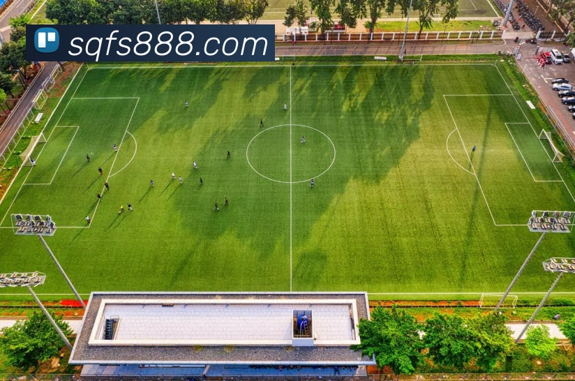 华体app官网登录平台生态图